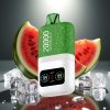 Aivono AIM MAGIC Watermelon Ice 20000 Puffs Dual Mesh Coils LCD Display