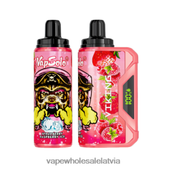 Electronic Cigarette Liquids Wholesale - Vapsolo VIKING vienreizējās lietošanas vape zemeņu aveņu ledus ZLD8PH139