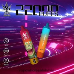 Electronic Cigarette Wholesale Price - Bang Beach 22000 uzpūtienu viedais ekrāns persiku mango 862V0824
