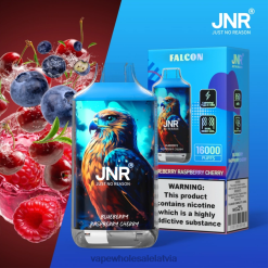 vape wholesale supplier 26662699 melleņu aveņu ķirsis JNR FALCON