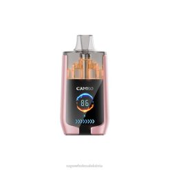 Vape Wholesale Supplier - tropu augļi LAVIE CAMEO 30000 uzpūtienu H8B0J19