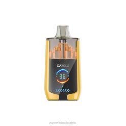 Vape Wholesale Supplies - mango ledus LAVIE CAMEO 30000 uzpūtienu H8B0J21