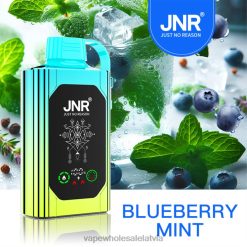 vienreizējās lietošanas vape 26662618 melleņu piparmētra JNR SHISHA BOX